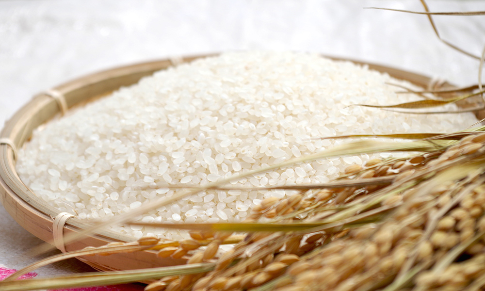 有限会社丸徳伊藤精米店